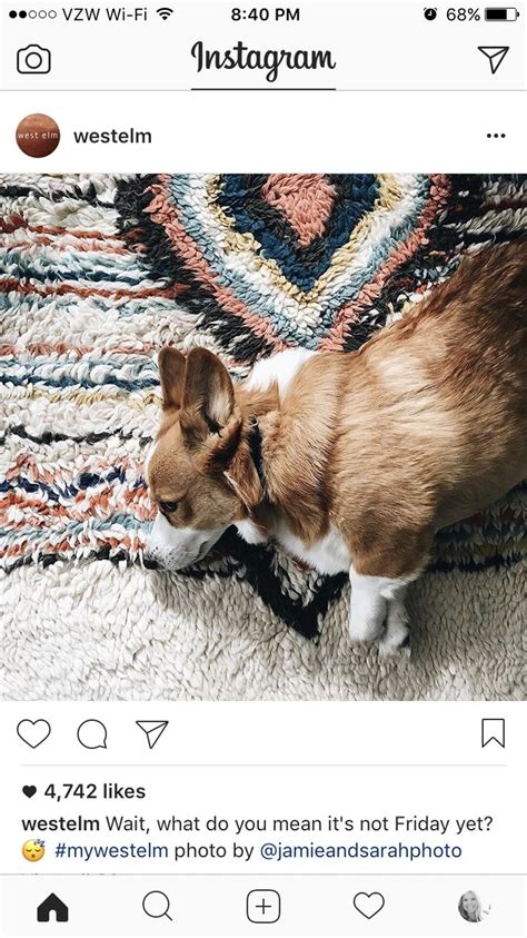 Living Room Colors Living Room Colors Corgi Room Colors