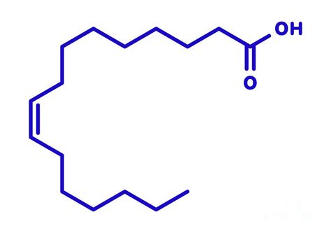 Palmitoleic Acid Structure