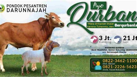 5 Contoh Iklan Hewan Qurban Hari Raya Idul Adha