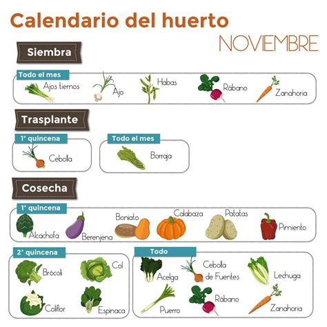 Calendario Del Huerto Marzo Artofit