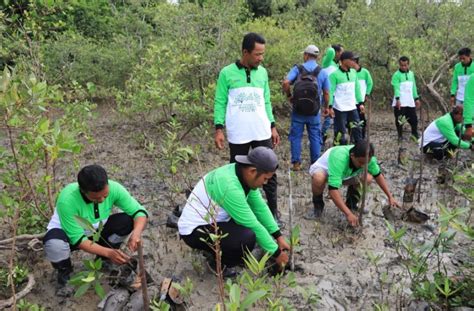 Menjaga Lingkungan Dan Mendukung Net Zero Emission Pt Timah Tbk Tanam