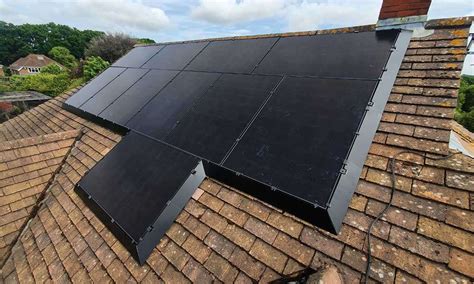 Bird Proofing Your Solar Panels | Protect Your Solar | Deege Solar