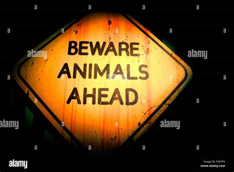 Beware Animals Ahead Written On A Warning Sign Stock Photo Alamy