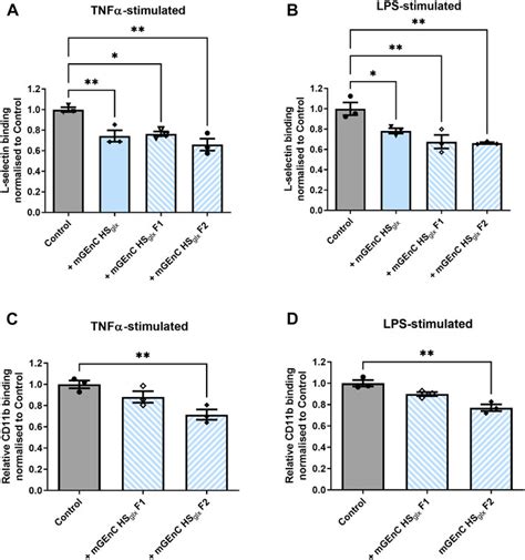 Frontiers Glomerular Endothelial Glycocalyx Derived Heparan Sulfate