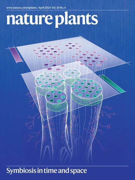 An Inside Look at How Plants and Mycorrhizal Fungi Cooperate - DOE ...