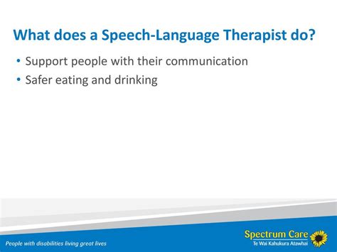 The Speech Language Therapist Role Within Spectrum Care Ppt Download