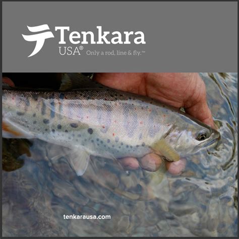 Tenkara Catalog – Tenkara USA