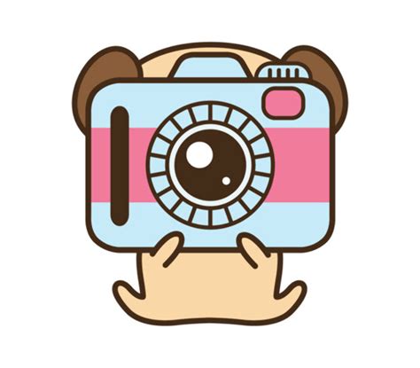 Download High Quality camera clipart kawaii Transparent PNG Images - Art Prim clip arts 2019