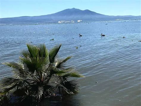 Toda La InformaciÓn Sobre El Lago De Chapala En MÉxico