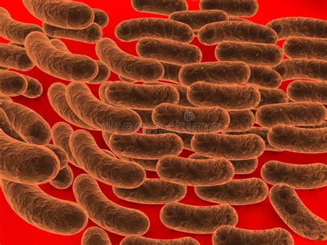 Rod Shaped Bacteria Stock Images - Image: 10909564