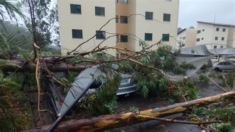 Veja imagens dos estragos causados pela tempestade em São Paulo