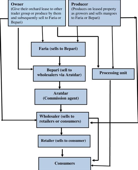 Typical Marketing Channel Of Mango Source Field Survey Of