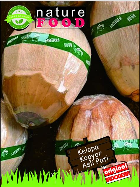 Jual Buah Kelapa Kopyor Genjah Pati 100 Asli BERGARANSI Ukuran 43 44