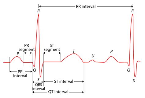 EMG: the signal that gives you an hand! - BionIT Labs