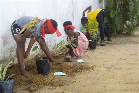 Atelier jeune public Initiation au jardinage à Le Centre La