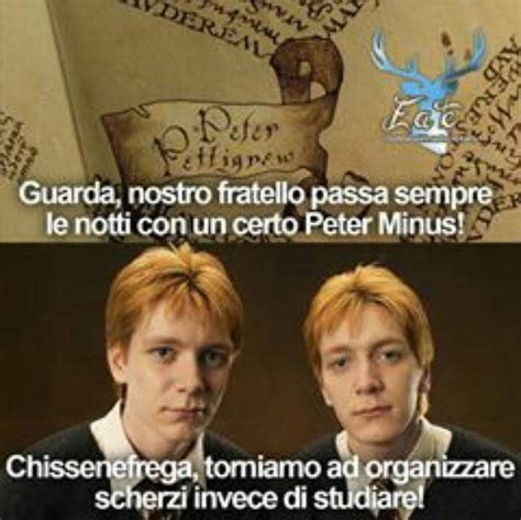 Pin Di Lavanda Potter Su Eventuali Harry Potter Divertente Umorismo