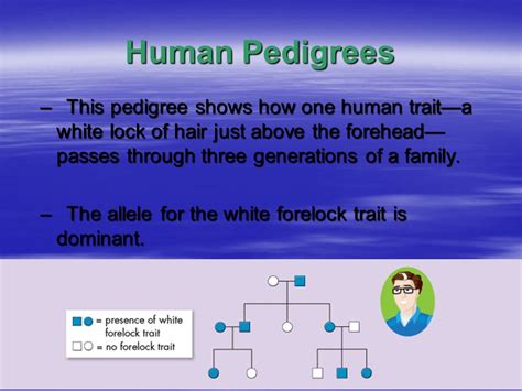 White Forelock Genetics