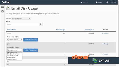 Email Disk Usage Cpanel Extilum Knowledgebase