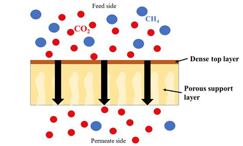 Schematics Of Thin Film Composite Membrane Download Scientific Diagram