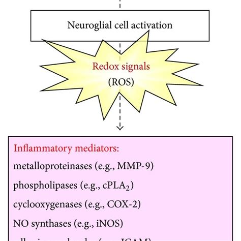 Oxidative Stress And Antioxidants Imbalance In Inflammation In