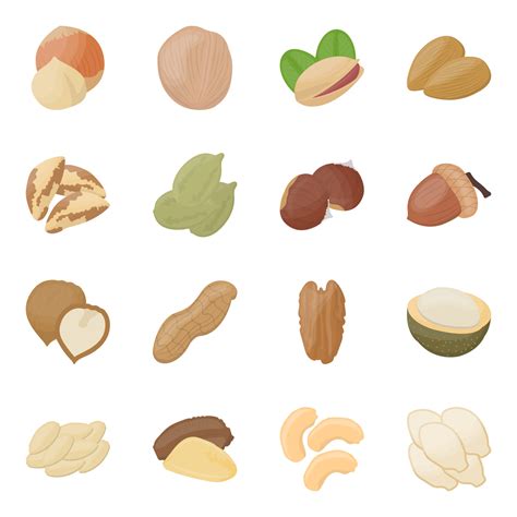 Tree Nuts Concepts 4872186 Vector Art at Vecteezy