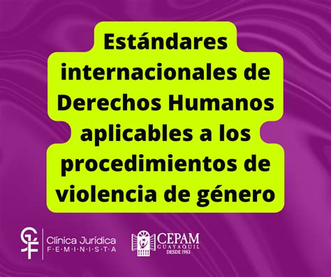 EstÁndares Internacionales De Derechos Humanos Aplicables A Los