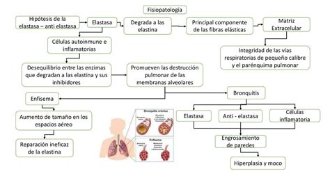 Fisiopatologia EPOC ERICK LEONARDO RODRIGUEZ LARA UDocz