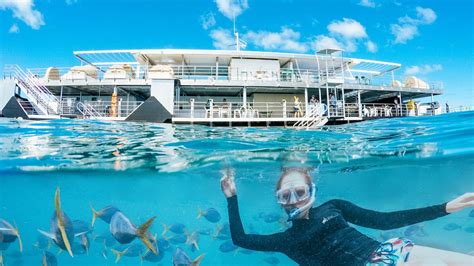 Este Hotel Bajo El Agua De Australia Te Deja Dormir Al Lado De Los