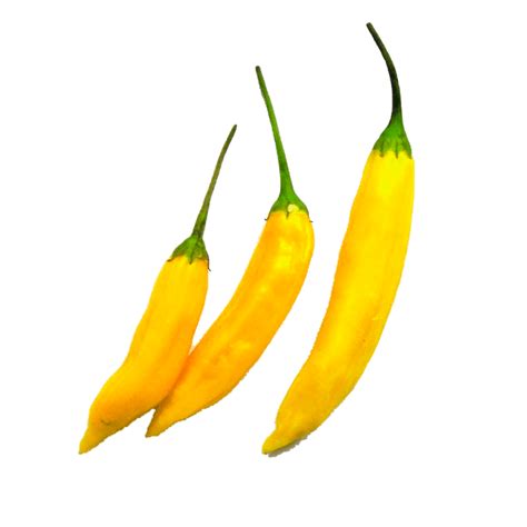 Pepper Hot Lemon Rise Gardens Plant Library