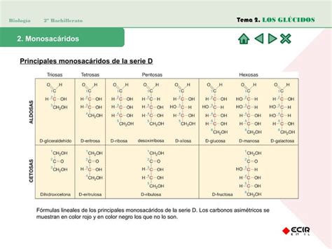 Los Glucidos Ppt