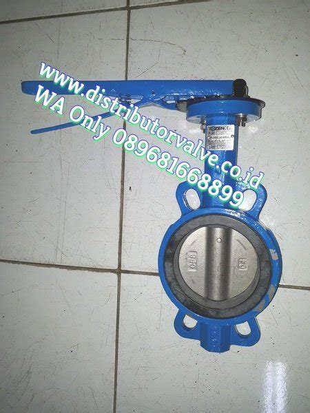 Jual Butterfly Valve Cast Iron Body Disc Di Lever 6 Inch Tozen Di Lapak Distributor Valve