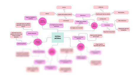 Solution Sistema Arterial Y Venoso Studypool