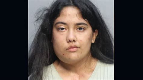 Miami Arrestan A Mujer Que Intentó Contratar A Sicario Para Matar Niño De 3 Años El Nuevo Herald