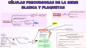 Pr Ctica Retracci N Del Co Gulo Cuaderno De Pr Cticas Hematolog A