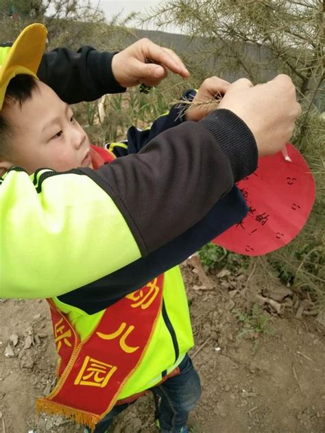 新華幼兒園舉辦「大手拉小手」植樹活動 每日頭條