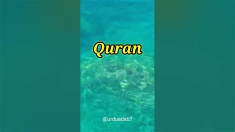 Surah Al Hashr 22 24 Quran