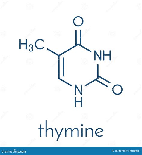 Thymine Molecule