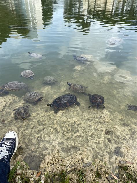 Federal Work Study Remote!! : FIU