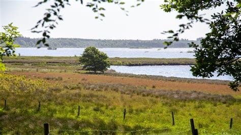 Museum Inviterer P Tidsrejse Ved B Lling S Vafo Dk