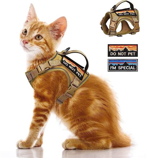 Pet Supplies Tactical Cat Harness For Large Adult Cats Walking Escape