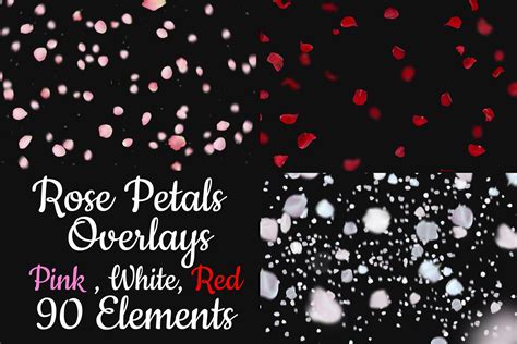 Falling Rose Petals Overlay For Photoshop Petals Red Overlay Etsy