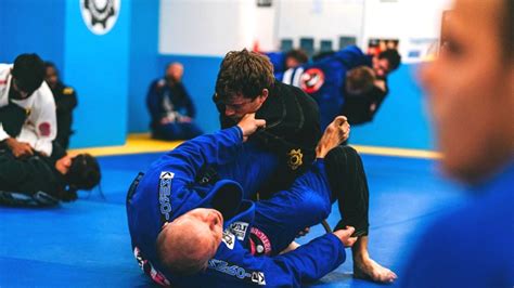 Bjj Blue Belt Requirements