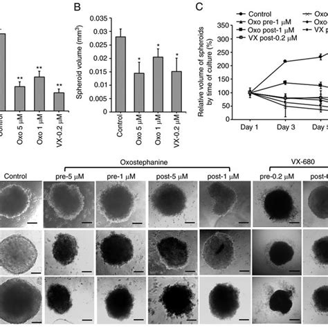 Oxostephanine Inhibits The Formation And Growth Of OVcAR 8 Spheroids