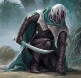 Drizzt Do'Urden | Forgotten Realms Wiki | Fandom