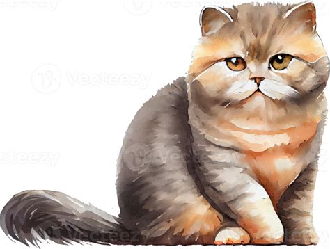 Mignonne Chat Aquarelle Illustration 22314331 PNG