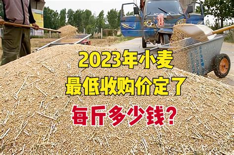 2023年小麦最低收购价已定，涨了还是跌了？每斤多少钱？ 知乎