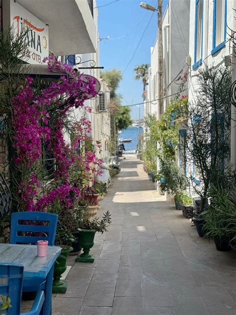 Bodrum Marina, Turkey in 2025 | Bodrum, Bodrum turkey, Turkey destinations