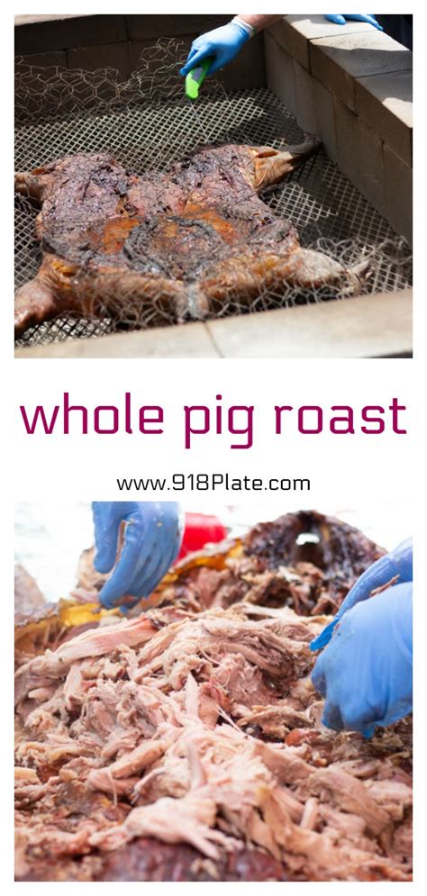 Pig Rotisserie Recipe