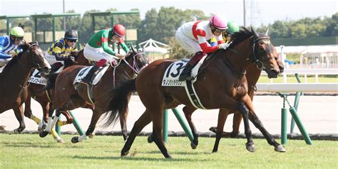 【中京5r・2歳新馬】ダノンザキッドの弟ダノンタッチダウンが快勝 福永祐一騎手「言うことのないぐらいレベルの高い走り」 Umatoku 馬トク