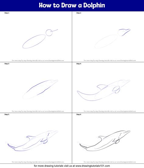 How To Draw A Dolphin Step By Step Video